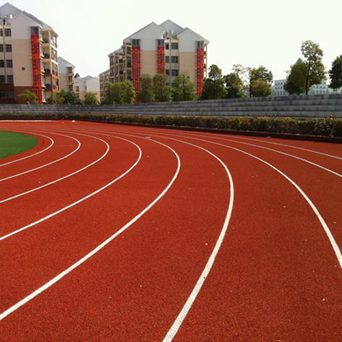 深圳市福田区新莲小学